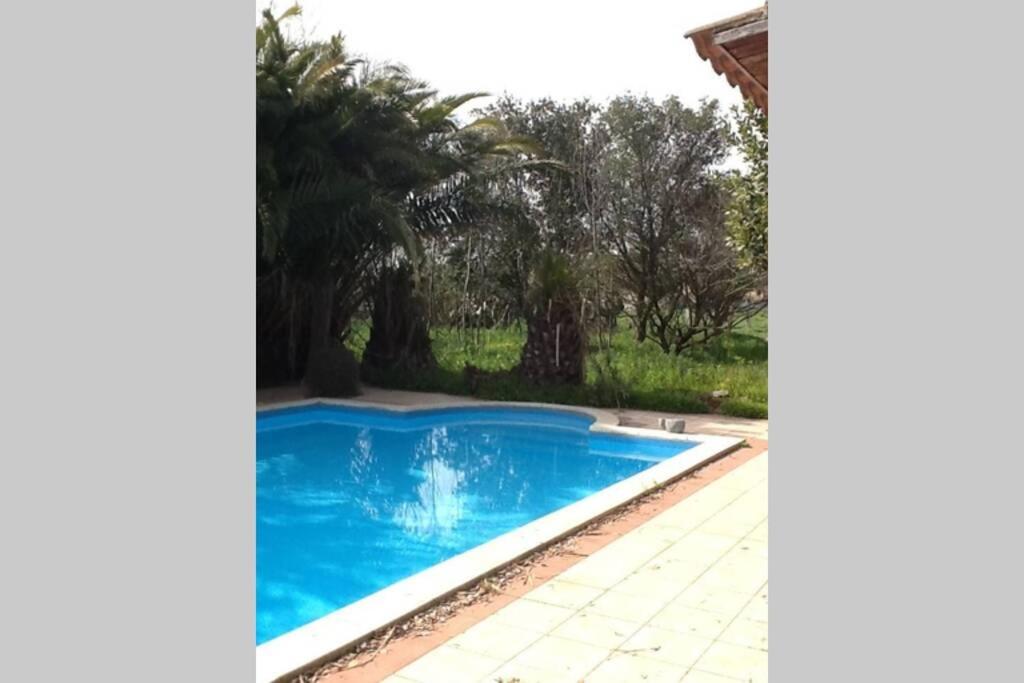 Big Relax Apartment With Swimming Pool And A Peaceful Garden In A Private Villa Sestu Exterior photo