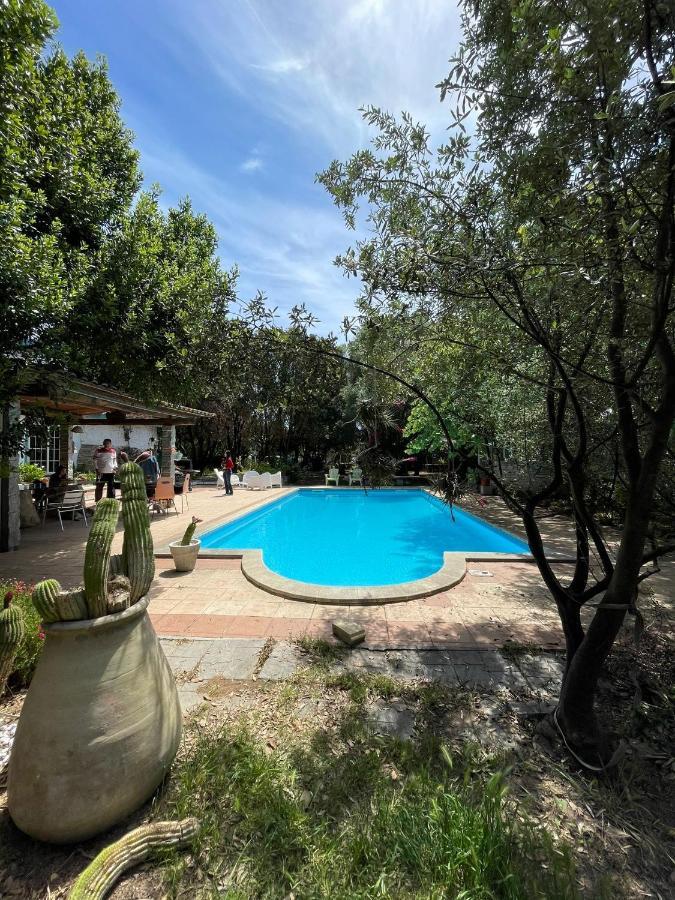 Big Relax Apartment With Swimming Pool And A Peaceful Garden In A Private Villa Sestu Exterior photo
